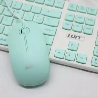 Combo De Teclado Y Mouse Alambrico Wit Cbt-3500