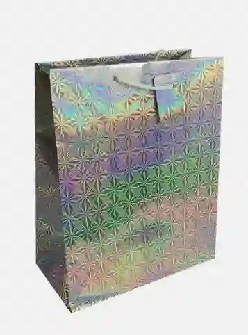 Bolsa De Regalo Metalizada Primavera Holograma Plateado Talla S Medida 12 Cm Alto * 16 Cm Ancho