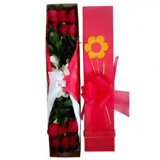 Caja 12 Rosas Rojas