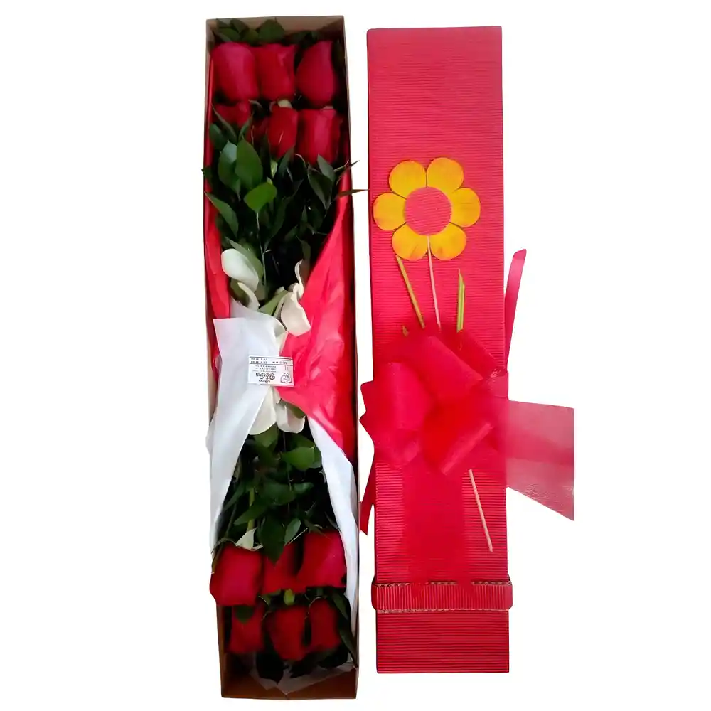 Caja 12 Rosas Rojas