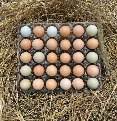 Huevos Criollitos 47gr X 30und