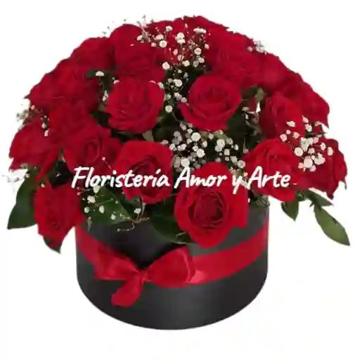 Elegancia Y Amor En Rosas