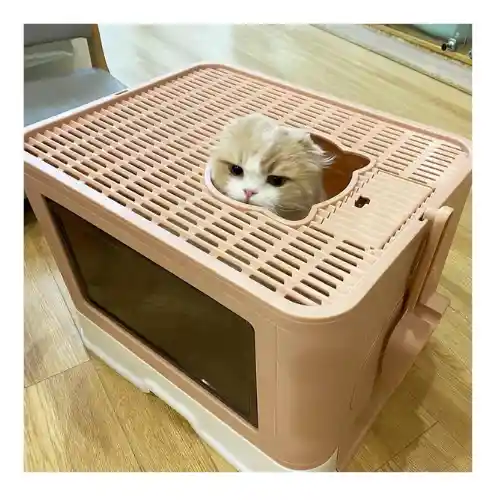 Arenera Para Gatos Desarmable Con Rascador