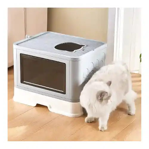 Arenera Para Gatos Desarmable Con Rascador