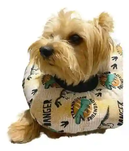 Dona Isabelina Talla S