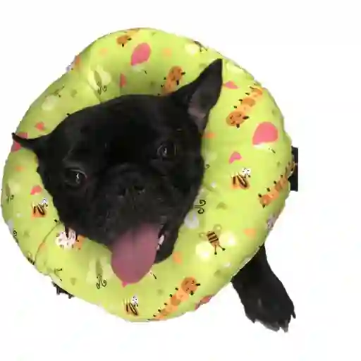 Dona Isabelina Talla L