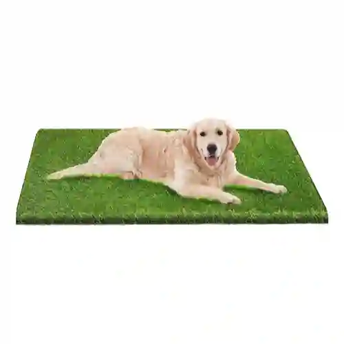 Repuesto De Grama Grande Tapete Entrenador Mascota X 1 Und