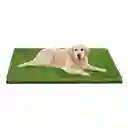 Repuesto De Grama Grande Tapete Entrenador Mascota X 1 Und