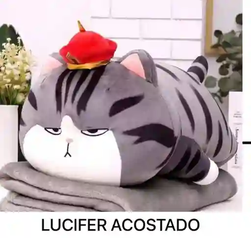 Peluche Con Cobija