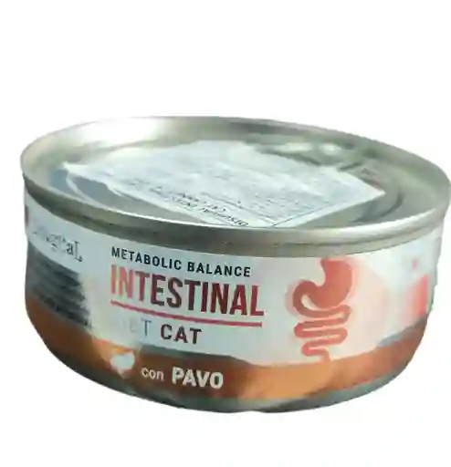 Metabolic Balance Intestinal