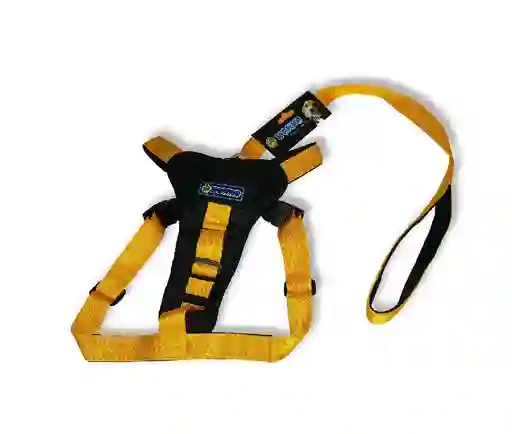 Arnes Clasico Talla L