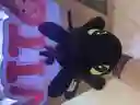 Chimuelo Cuerpo Largo