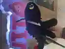 Chimuelo Cuerpo Largo