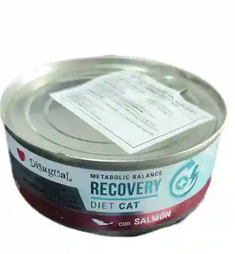 Metabolic Balance Recovery