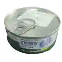 Metabolic Balance Struvite