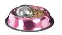 Dog Hog Comedero Lento "slow Feeder"