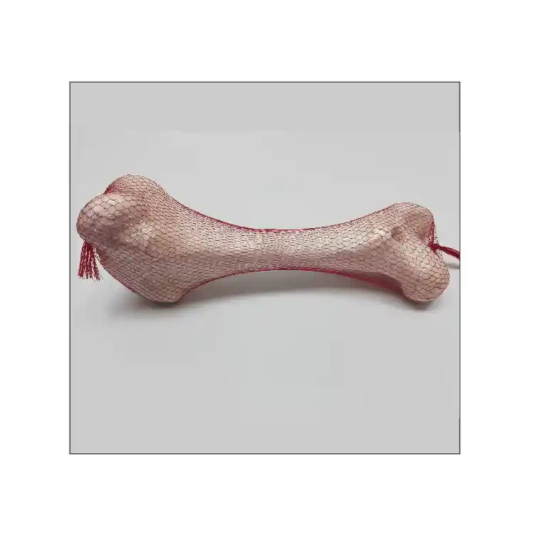 Hueso Natural Blanco Femur 11126