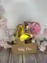 Caja Para Llevar Con Flores Y Fresas Con Chocolate