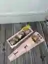 Combo Solitario De Encanto Y Caja De Chocolate Relleno Con Fresas Con Chocolate