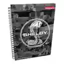 Cuaderno 1 Materias Grande Primavera Arg Masculino Cuadriculado