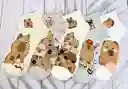 Medias Edicion Capybara