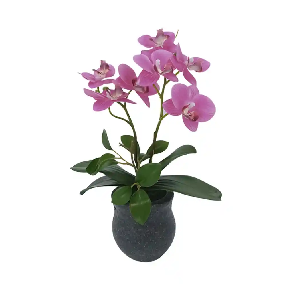 Orquídea Artificial 33 Cm Marres 17-0003 -fucsia
