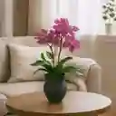 Orquídea Artificial 33 Cm Marres 17-0003 -fucsia