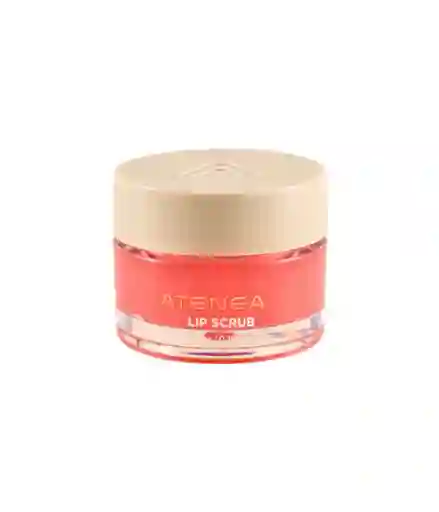 Exfoliante Para Labios Atenea - Lip Scrub