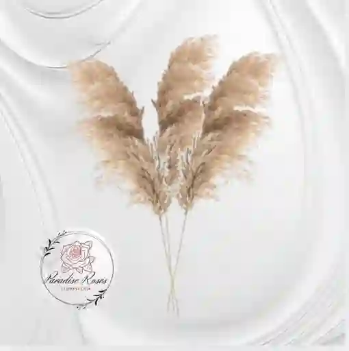 Pampas Naturales