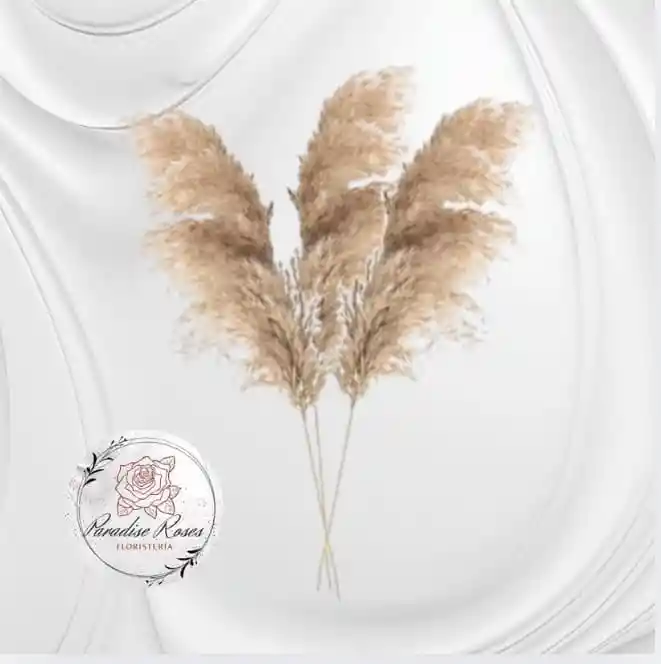 Pampas Naturales