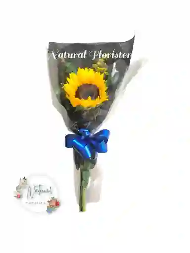 Girasol