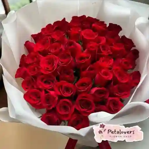 Flores Rosas Bouquet De 50 Rosas Rojas