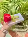 Chocomensaje Feliz Día De La Novia