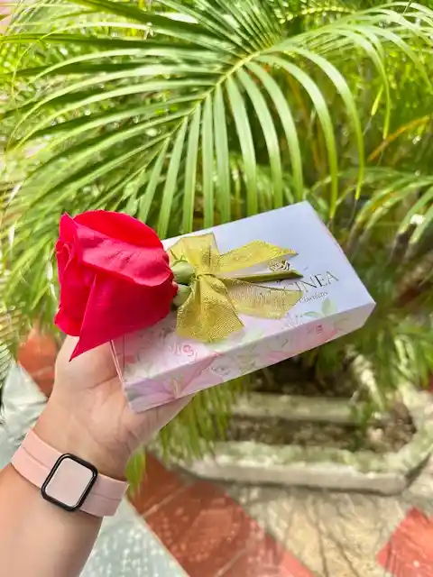 Chocomensaje Feliz Día De La Novia