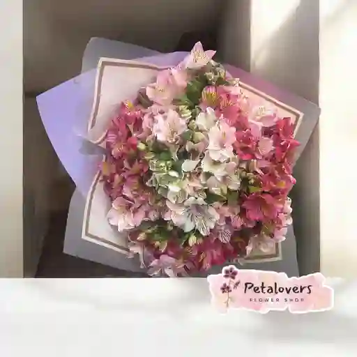Astromelias Blancas Y Rosadas