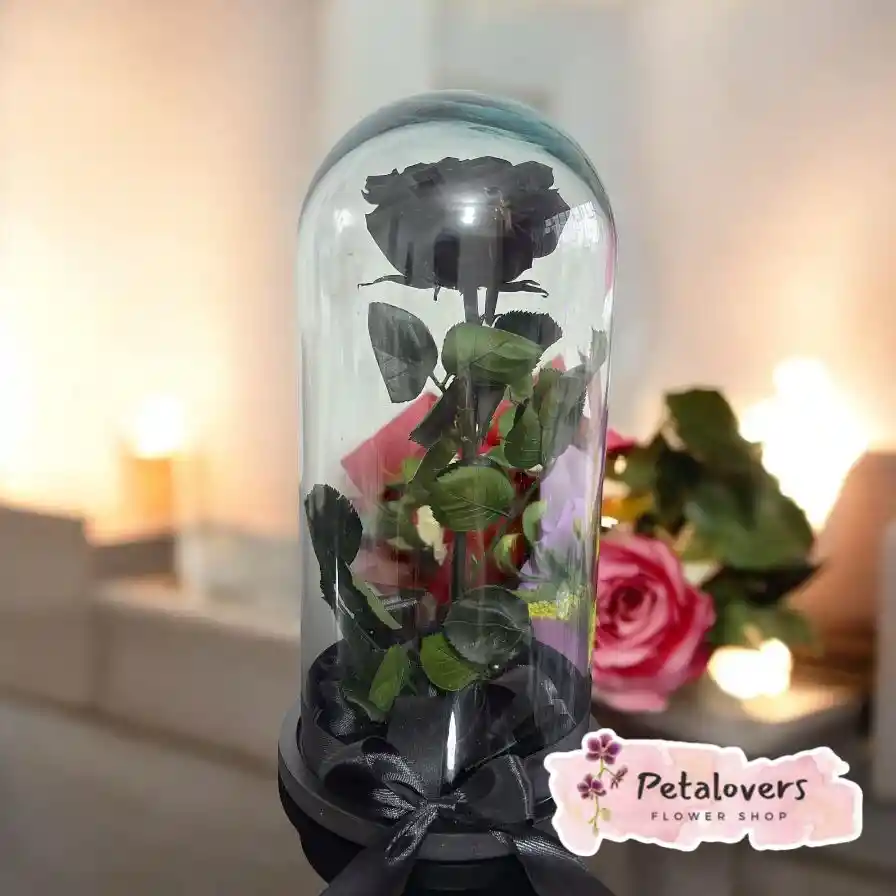 Rosa Negra Preservada En Cúpul