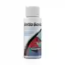 Betta Basics