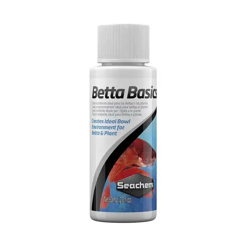 Betta Basics
