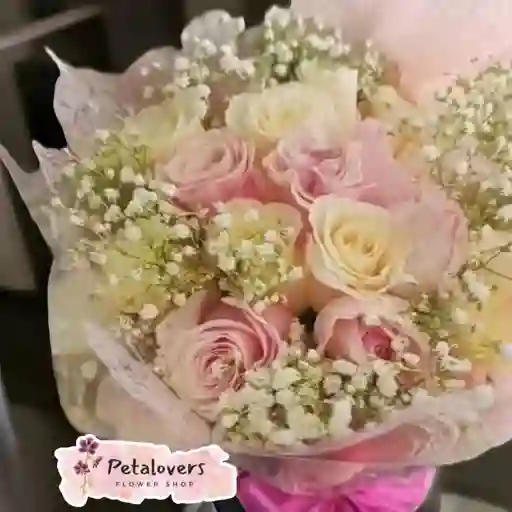 Flores 24 Rosas Blancas Y Rosadas + Gypsophila