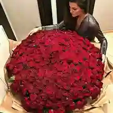 «ramo Buchon» De 600 Rosas Rojas Y Corona