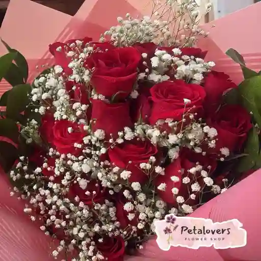 Flores 12 Rosas + Gypsophila