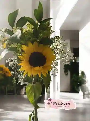 Flores Girasol Radiante