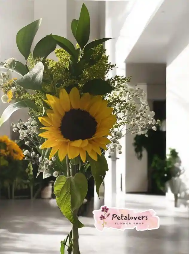 Flores Girasol Radiante