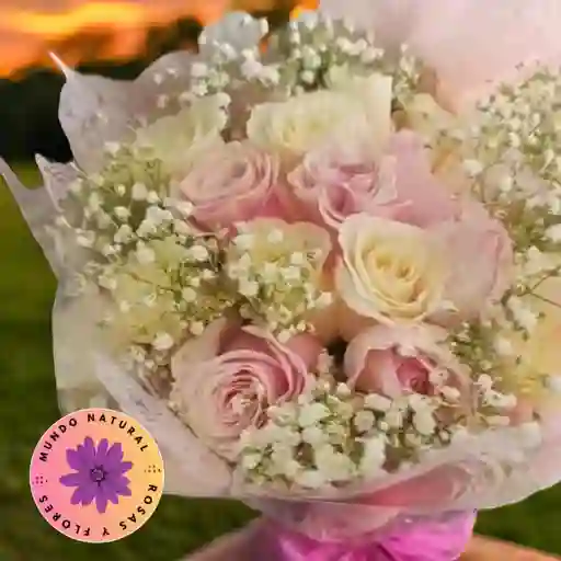 Flores 24 Rosas Blancas Y Rosadas + Gypsophila