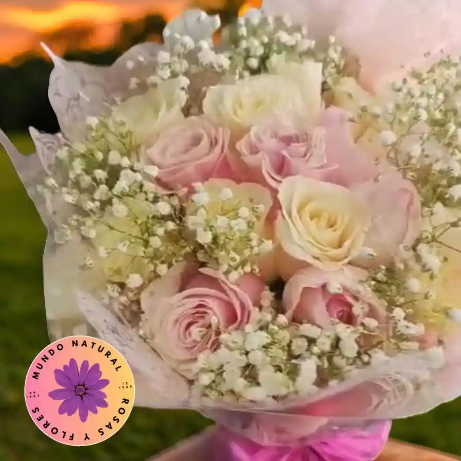 Flores 24 Rosas Blancas Y Rosadas + Gypsophila