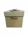 Caja Troquelada Cubo 17 17x17x17cm Tapa Base
