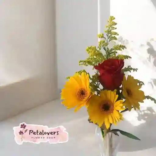 Gerberas Y Rosas