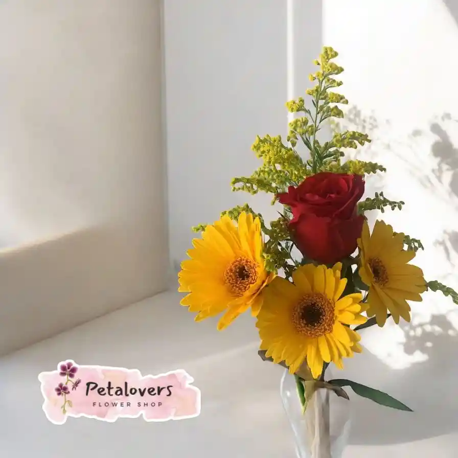 Gerberas Y Rosas
