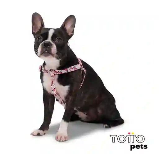 Totto Arnes De Caminata Brunno Disney Minnie Mouse Talla L