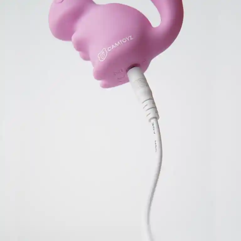 Puffy Vibrador Discreto Para Zonas Erógenas Lolly Camtoyz